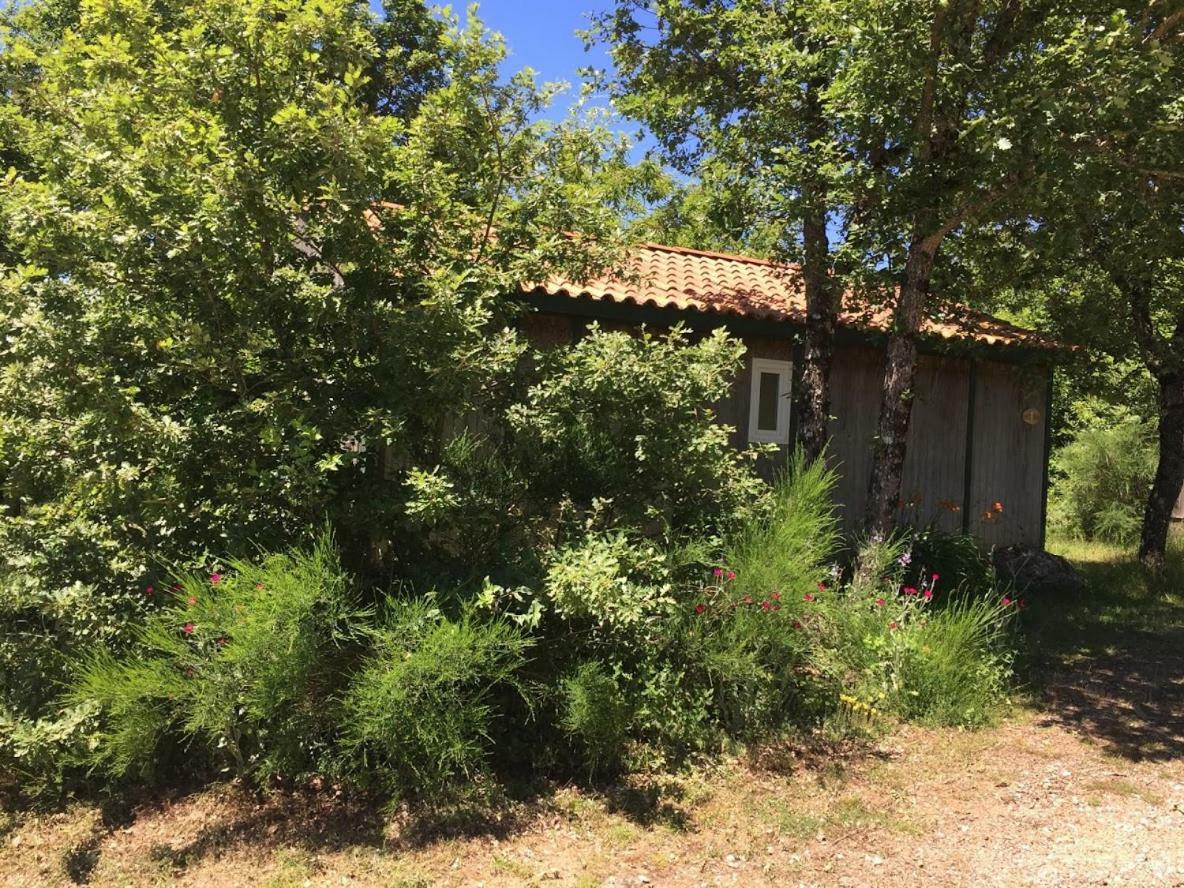 Le Balcon Des Raspes Hotell Saint-Victor-et-Melvieu Exteriör bild